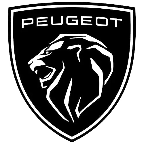 peugeot-2021-carre-noir-detoure